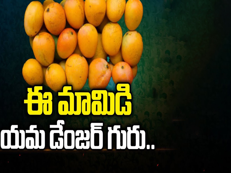 Danger Mangoes: ఈ మామిడి యమ డేంజర్ గురూ.. జర జాగ్రత్త