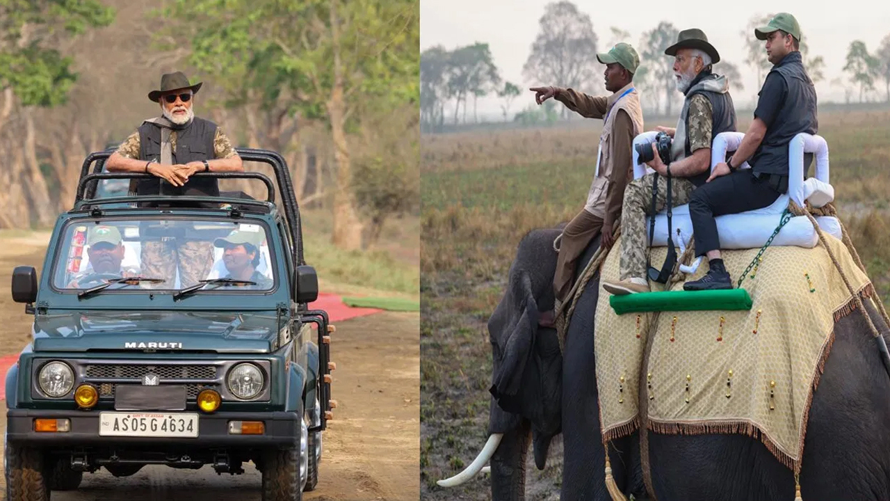 PM MODI Elephant Safari