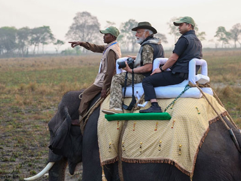 PM MODI Elephant Safari: కజిరంగా నేషనల్ పార్క్ లో.. ఏనుగుపై ప్రధాని మోదీ సఫారీ