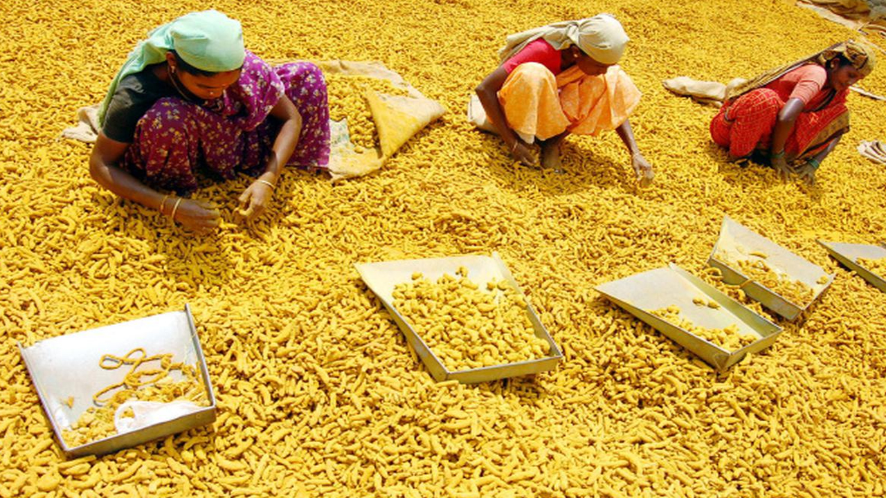 Turmeric Record Price in Nizamabad