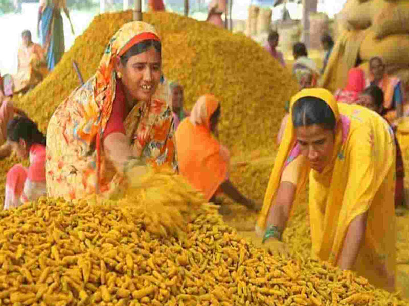 Turmeric Record Price in Nizamabad : 13 ఏళ్ల తర్వాత రికార్డు ధర పలికిన పసుపు ధర.. క్వింటా రూ.17 వేలకు పైనే..