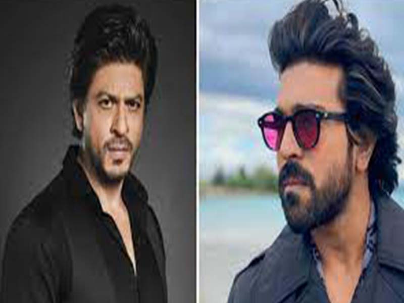 Shahrukh khan: షారుఖ్‌కి ఇడ్లీ, వడ తెచ్చిన తంటా.. ఫ్యాన్స్ ఫైర్