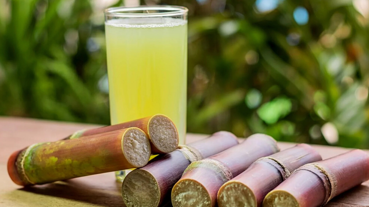 Sugarcane