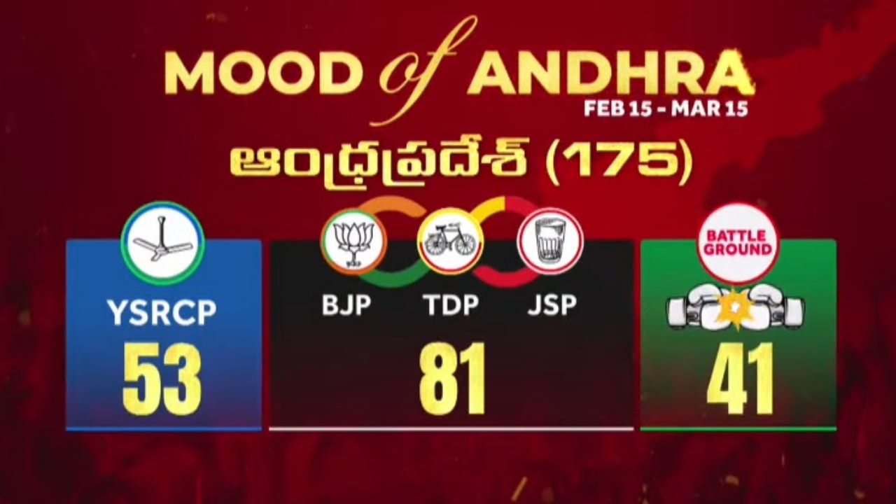 Big TV Survey on AP Elections 2024