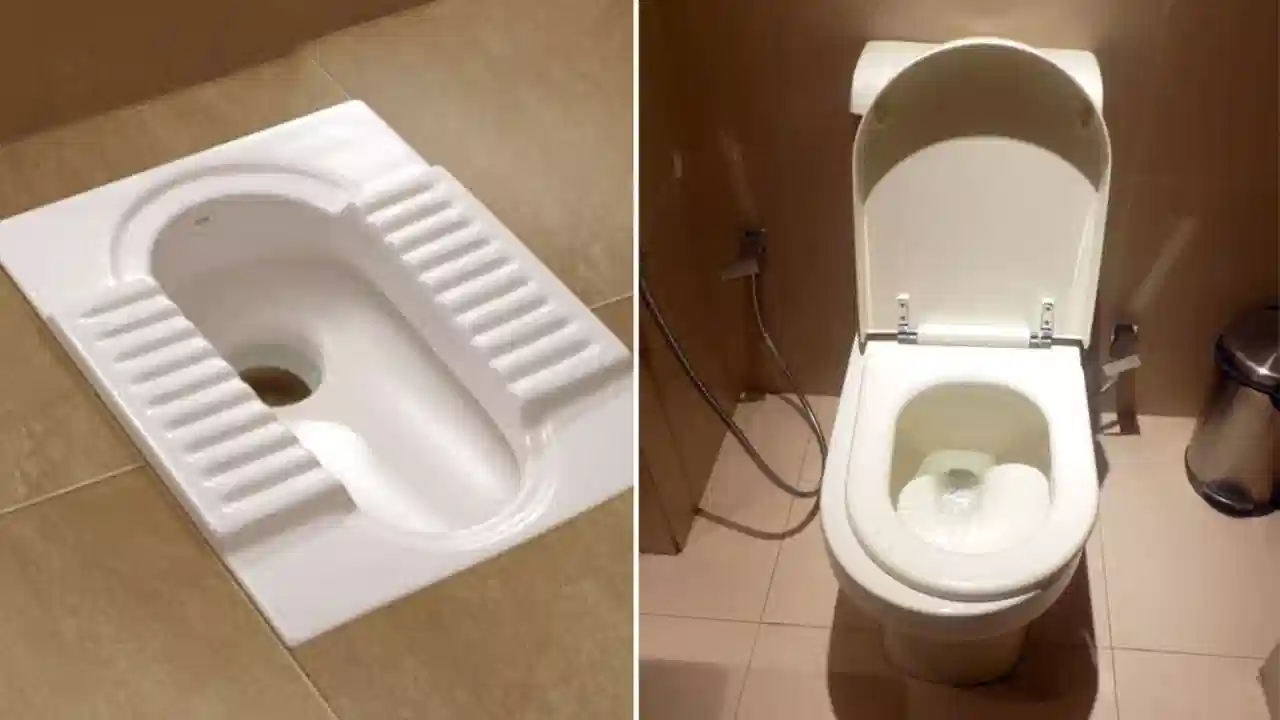 Indian Toilet Vs Western Toilet : ఇండియన్ టాయిలెట్స్ Vs వెస్ట్రన్ టాయిలెట్స్.. ఏది మంచిది?