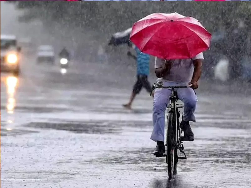 Telangana Weather Report: రానున్న 5 రోజుల పాటు తెలంగాణకు వర్షాలు.. చల్లటి కబురు చెప్పిన వాతావరణ శాఖ