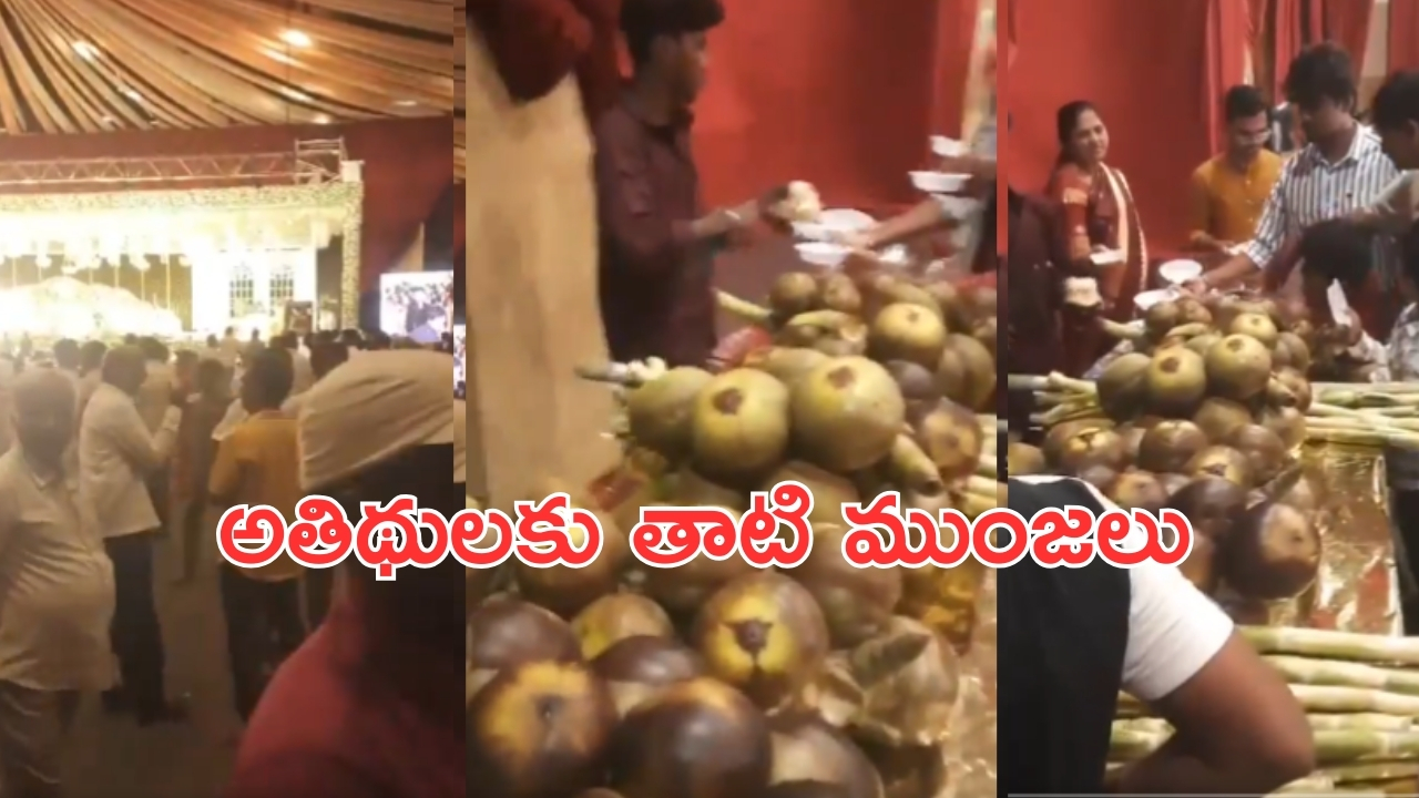 Ice Apples in Marriage Reception: పెళ్లి రిసెప్షన్‌లో తాటి ముంజలు.. ఆశ్చర్యపోయిన అతిథులు!