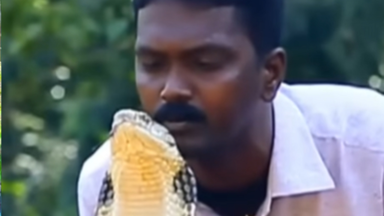 Vava Suresh King Cobra Kissing Video
