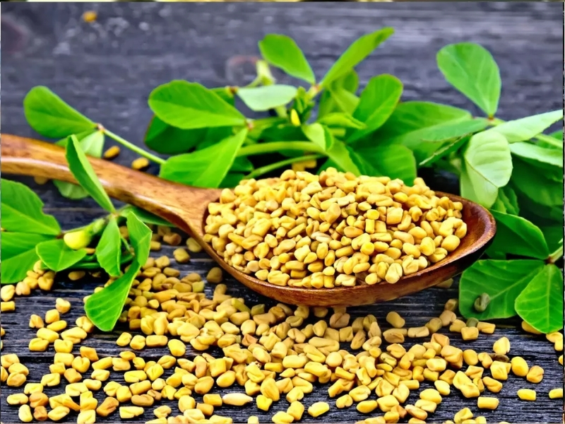 Fenugreek Benefits And Side Effects: పరగడుపున మెంతులు తినేస్తున్నారా.. ఏమవుతుందో తెలుసా ?