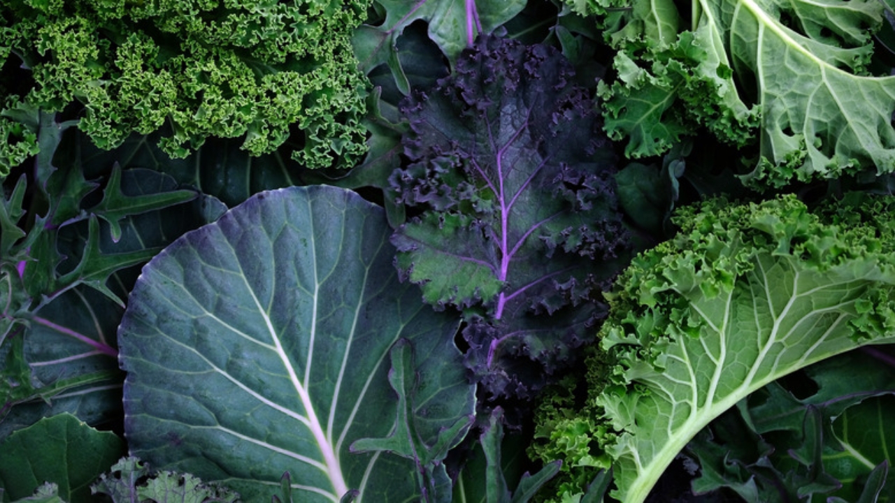 Kale Health benefits