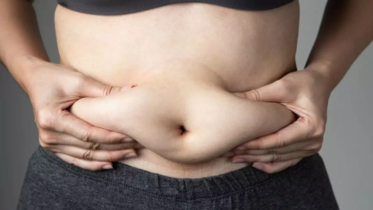 Causes of Pot Belly: మీ బొడ్డు కుండలా మారుతుందా..? కారణం ఇదే.. కార్బోహైడ్రేట్స్ మానేస్తే చాలు!