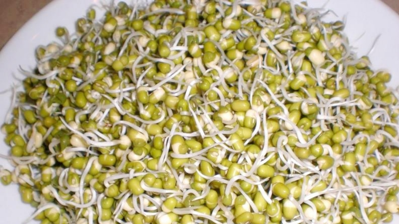 Mung Bean Sprouts Benefits: బ్రేక్‌ఫాస్ట్‌లో పెసర్లు తింటున్నారా.. ఒక్క దెబ్బతో ఆ జబ్బులన్నీ పరార్!