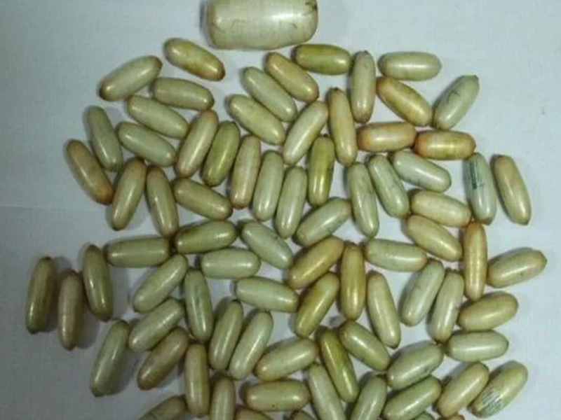 Cocaine Capsules : కడుపులో కొకైన్ క్యాప్సూల్స్.. వాటి విలువ రూ.11 కోట్లు..