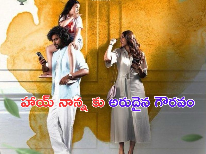 Hai Nanna: అరుదైన అవార్డును అందుకున్న హయ్ నాన్న..