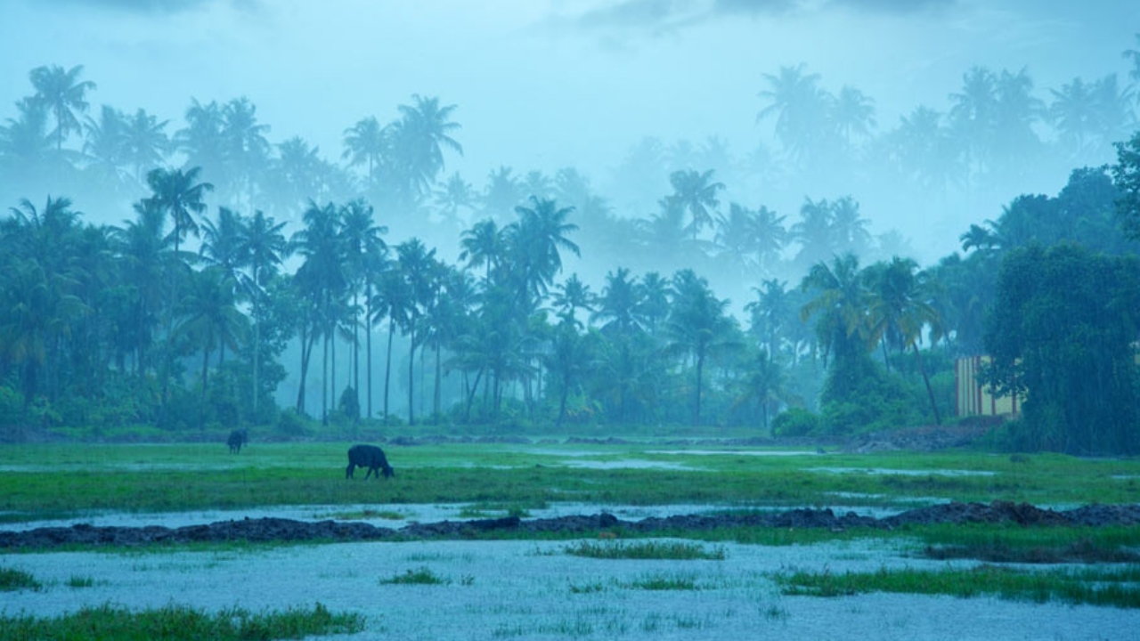 India Monsoon Report: చల్లని కబురు చెప్పిన IMD.. ఈసారి ముందుగానే రుతుపవనాలు.. ఫుల్లుగా వర్షాలు!