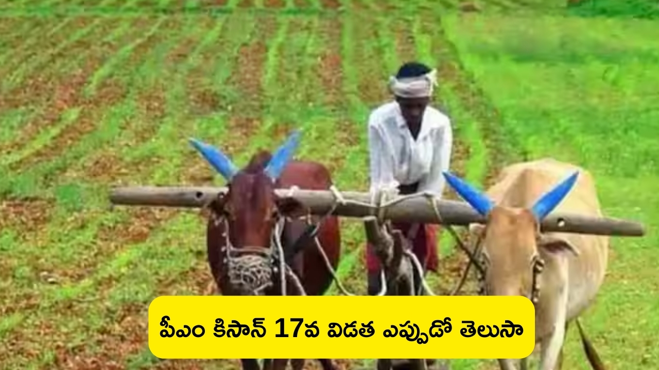 PM Kisan 17th Installment Date: పీఎం కిసాన్ 17వ విడత.. రైతుల ఖాతాలకు రూ. 2000.. ఎప్పుడో తెలుసా?