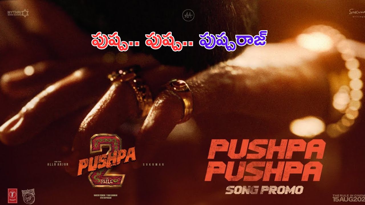 Pushpa 2 Song Promo: పుష్ప 2 ఫస్ట్ సాంగ్ ప్రోమో వచ్చేసిందిరోయ్.. మొదలెట్టండి హంగామా!