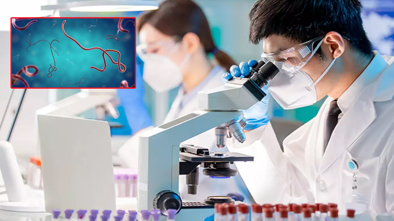 China Scientists Create Deadly Virus: చైనాలో మరో కొత్త  వైరస్‌.. సోకితే 3 రోజుల్లోనే మరణం