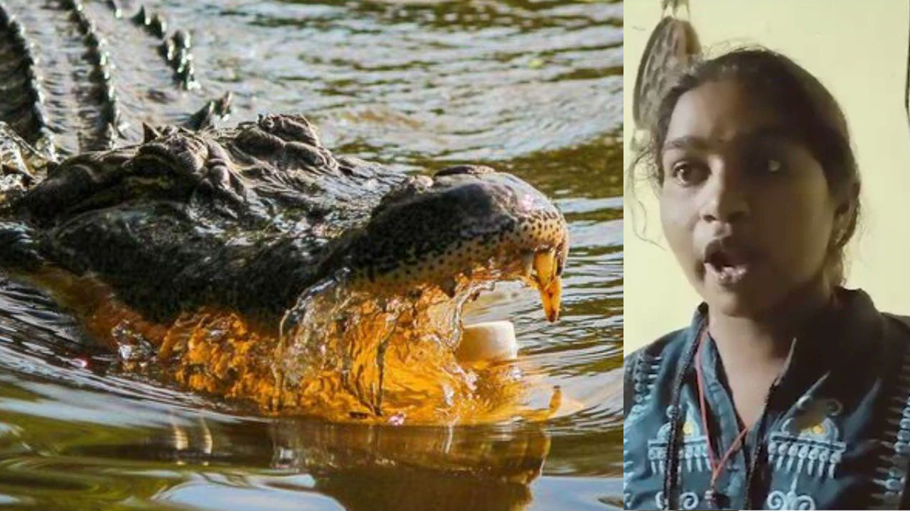 A Mother Throws 6 Years Son Crocodile Infested River: దంపతుల మధ్య గొడవ, ఆరేళ్ల కొడుకుని మొసలికి ఇచ్చిన తల్లి