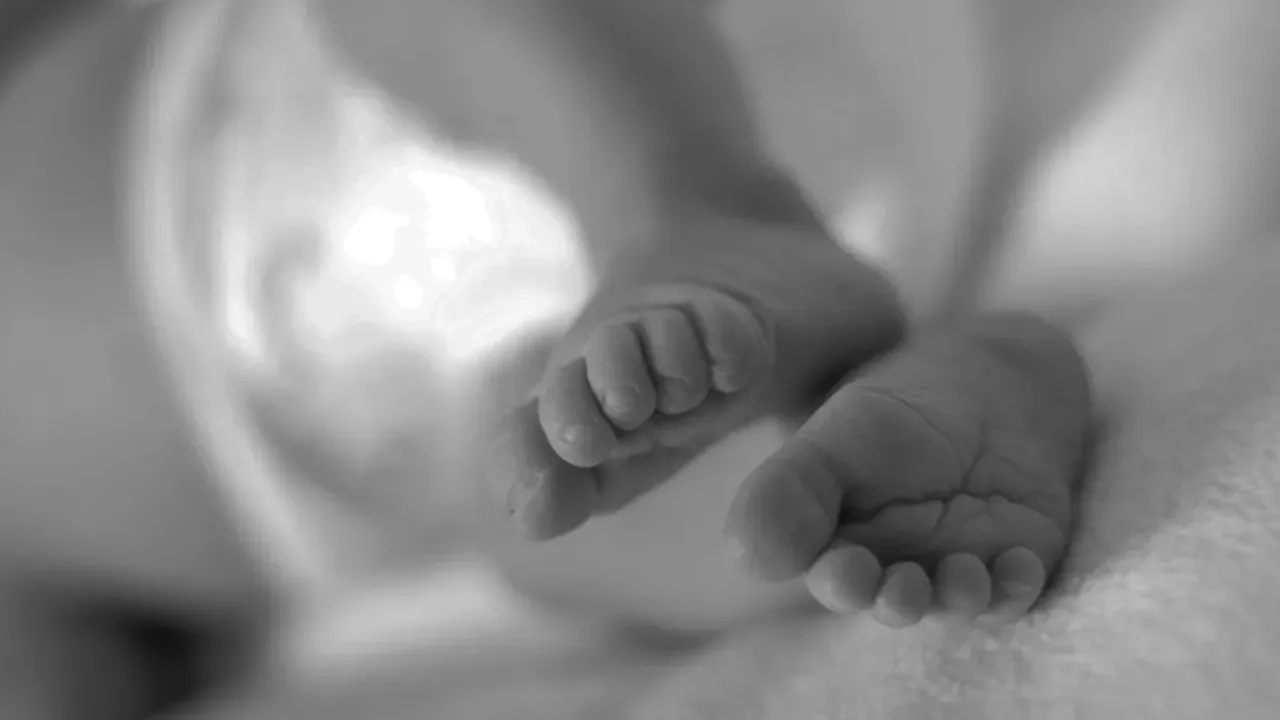 5 Months Old Baby Dies: దారుణం.. పసికందుపై దాడి చేసి చంపేసిన పెంపుడు కుక్క!