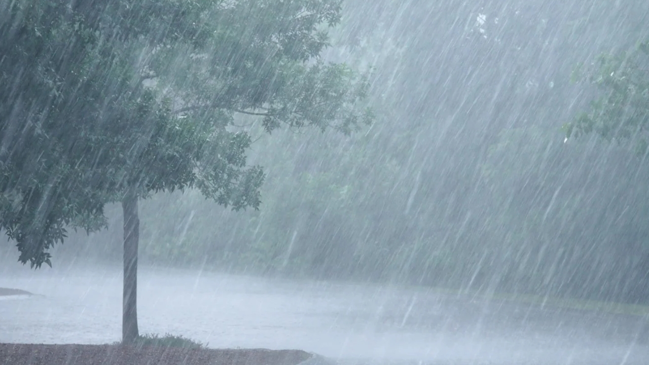 Heavy Rainfall: భారీగా కురుస్తున్న వర్షాలు.. ఎక్కడెక్కడ అంటే..?