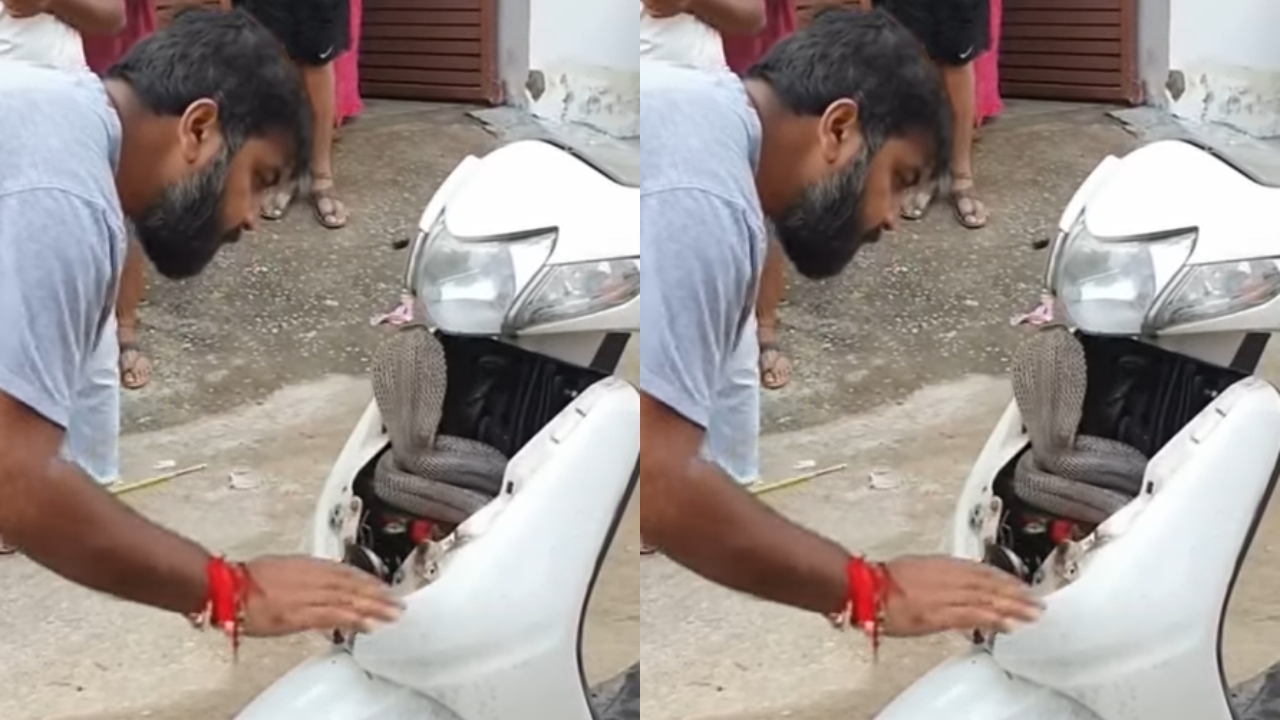 Cobra Snake Viral Video: స్కూటీ ఫ్రంట్ డోమ్ నుంచి వింత శబ్ధాలు.. ఓపెన్ చేసి చూస్తే!