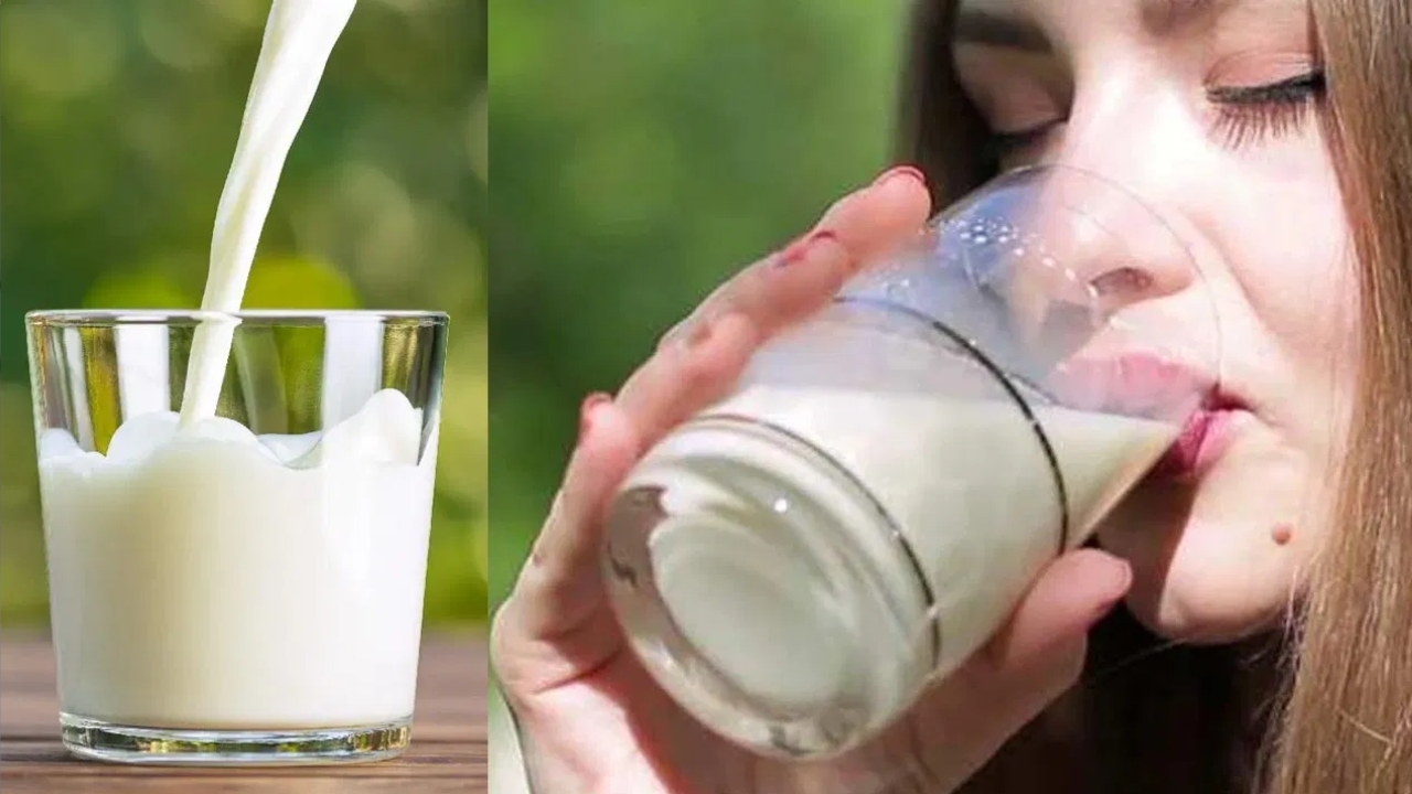 Drinking Too Much Milk Can Be Harmful: ఎక్కువ పాలు తాగడం హానికరమా? అసలు పాలు ఎంత తాగాలో తెలుసా..