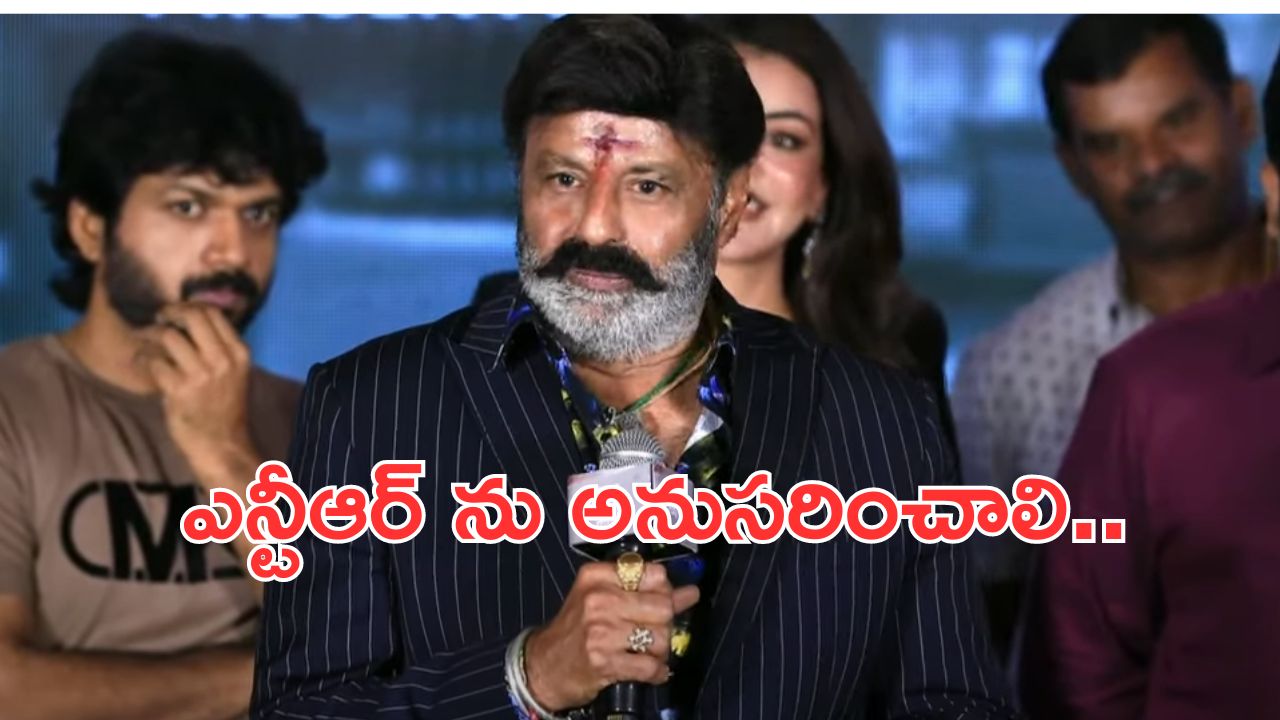 Nandamuri Balakrishna: ఎన్టీఆర్ వారసులు అని చెప్పుకోవడం కాదు.. ఆ పని చేయాలి