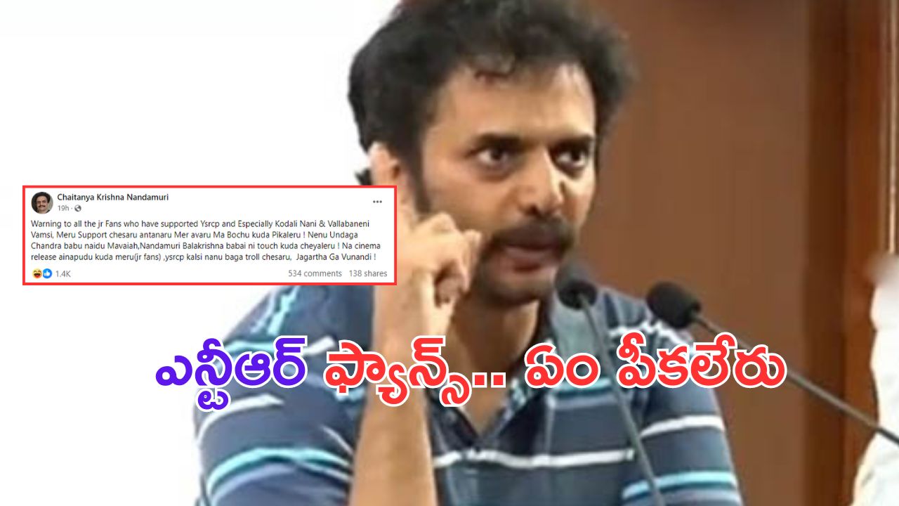 Nandamuri Chaitanya Krishna: తారక్ ఫ్యాన్స్ పై నందమూరి వారసుడు ఫైర్..  బొచ్చు కూడా పీకలేరు