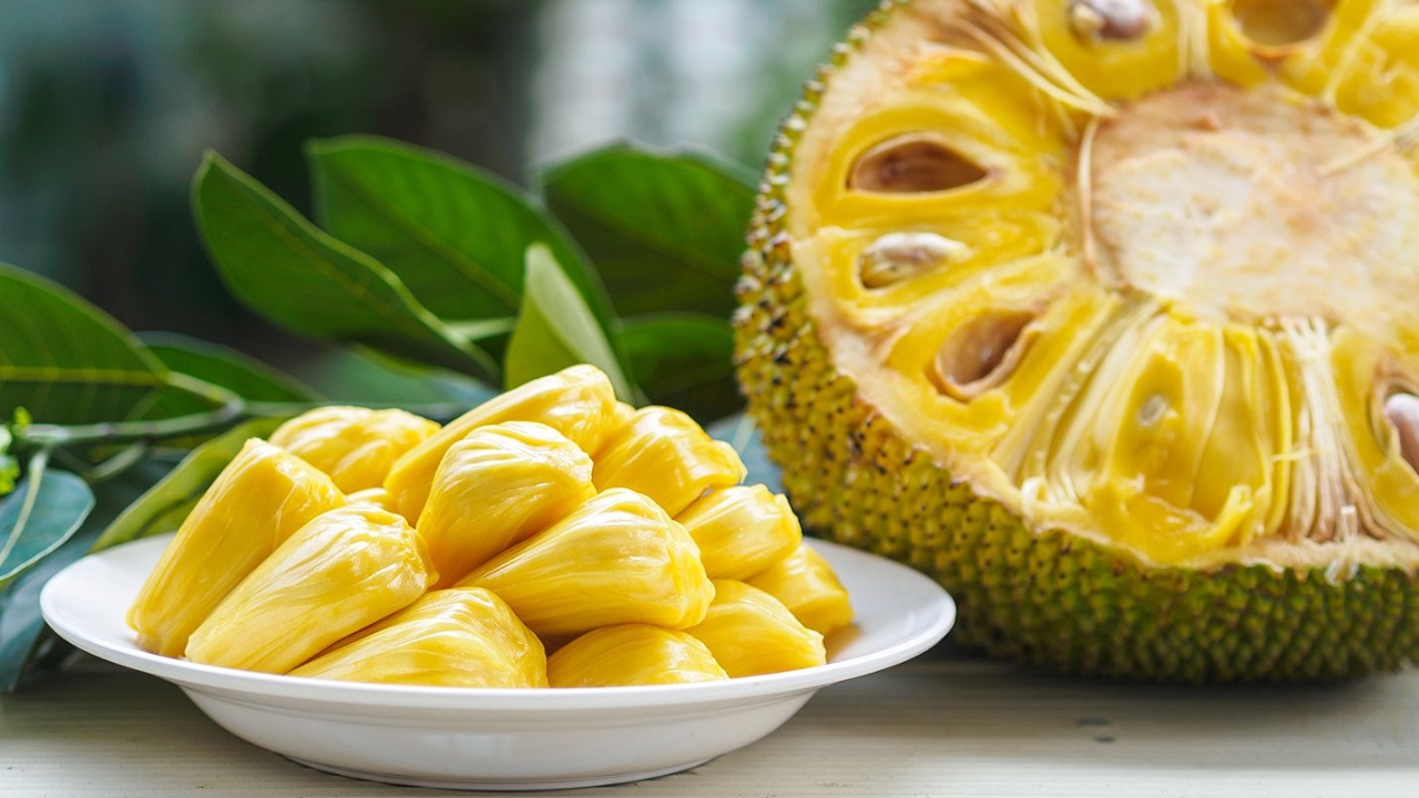 Jackfruit Flour Benefits: మధుమేహానికి జాక్‌ఫ్రూట్ పిండితో అనేక ప్రయోజనాలు.. ఎలాగో తెలుసా..