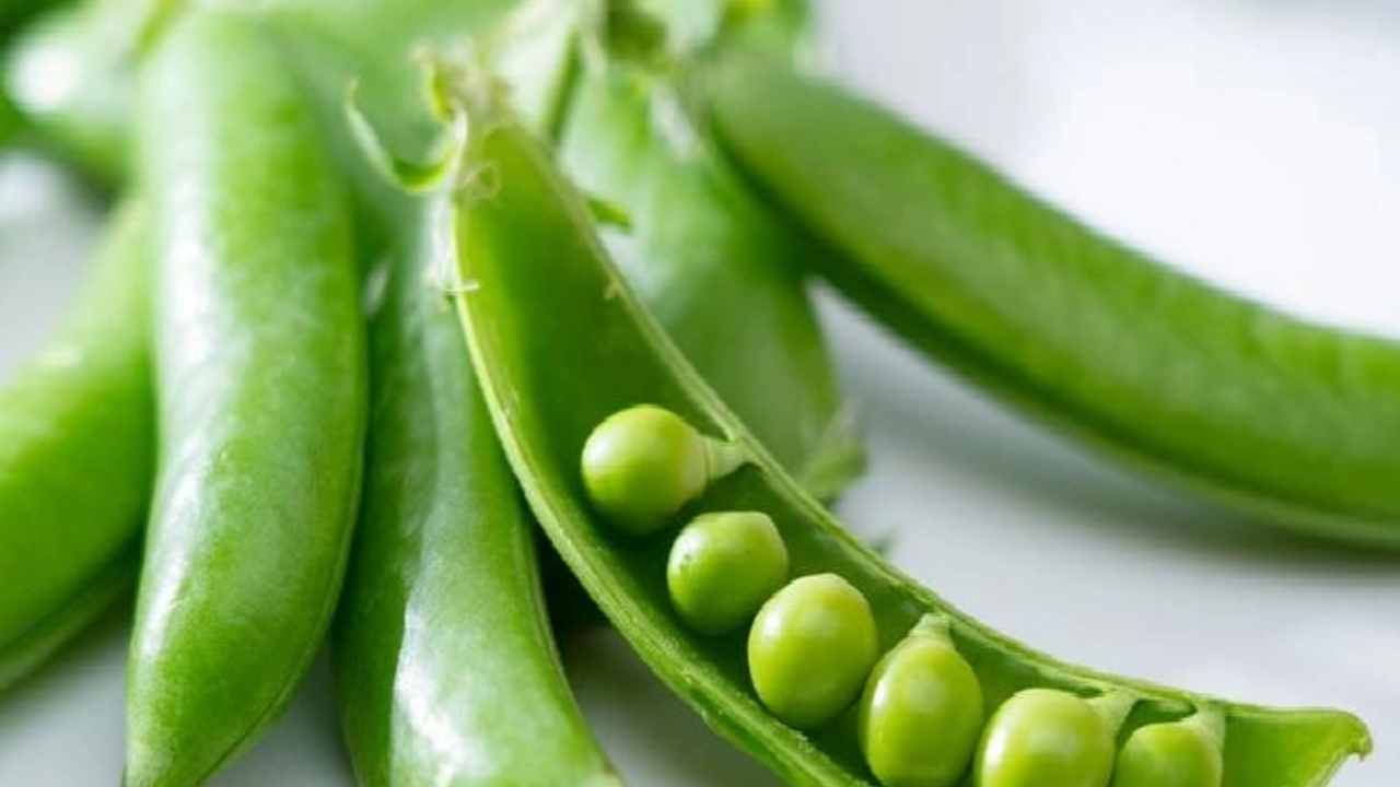 Peas Benefits For Health: ప్రోటీన్ లోపంతో బాధపడుతున్నారా.. అయితే బఠాణీలు ట్రై  చేయండి