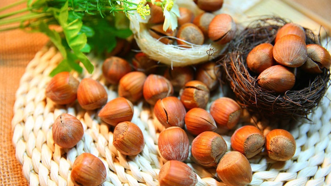 Hazelnut Health Benefits: డయాబెటిస్ ఉన్న వాళ్లు.. హాజెల్ నట్స్ తింటే ఎంత మంచిదో..