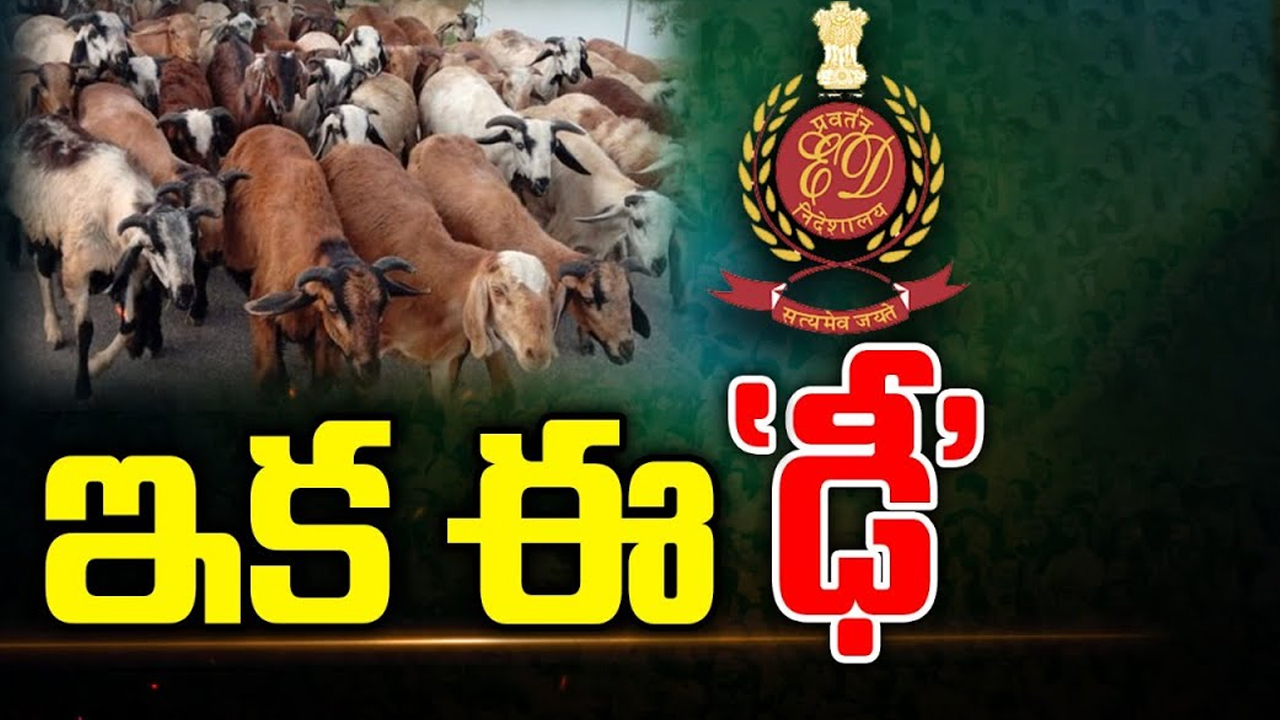 ED Focus On Sheep Scam in Telangana: గొర్రెల స్కాం 700కోట్లు.. రంగంలోకి ఈడీ