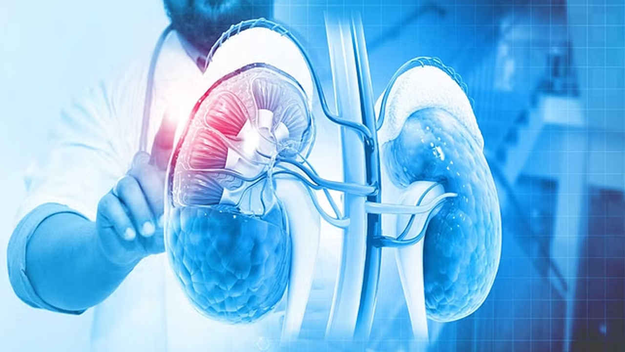 Kidney Cancer: కిడ్నీ కాన్సర్ బారిన పడకుండ ఉండాలంటే.. ఈ జాగ్రత్తలు పాటించాల్సిందే!