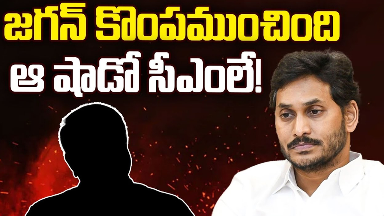 Ys Jagan Defeat: జగన్ కొంపముంచింది ఆ షాడో సీఎంలేనా..?