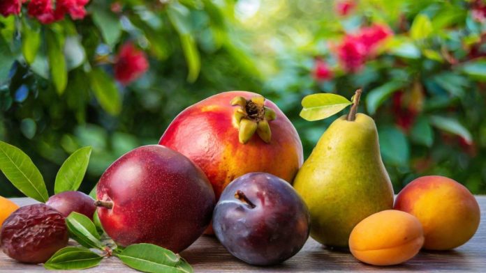 Best fruits to boost immunity