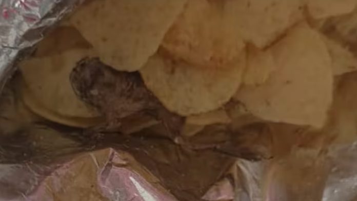 Dead Frog in Chips Packet