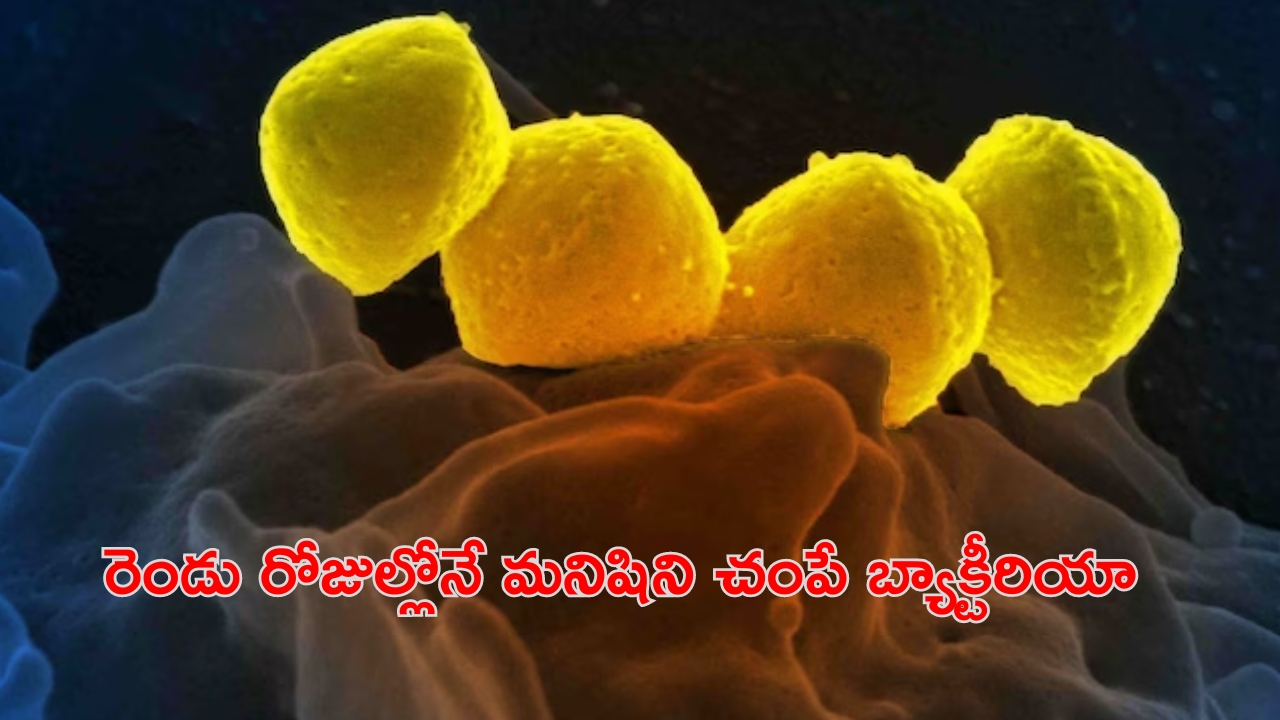 Flesh-Eating Bacteria: జపాన్‌లో భయంకరమైన బ్యాక్టీరియా.. కేవలం రెండు రోజుల్లోనే మనిషిని..