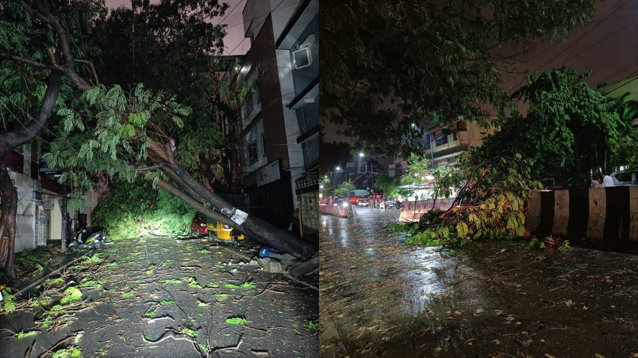 Heavy Rains: బెంగళూరులో భారీ వర్షం(వీడియో).. 133 ఏళ్ల రికార్డు బ్రేక్!