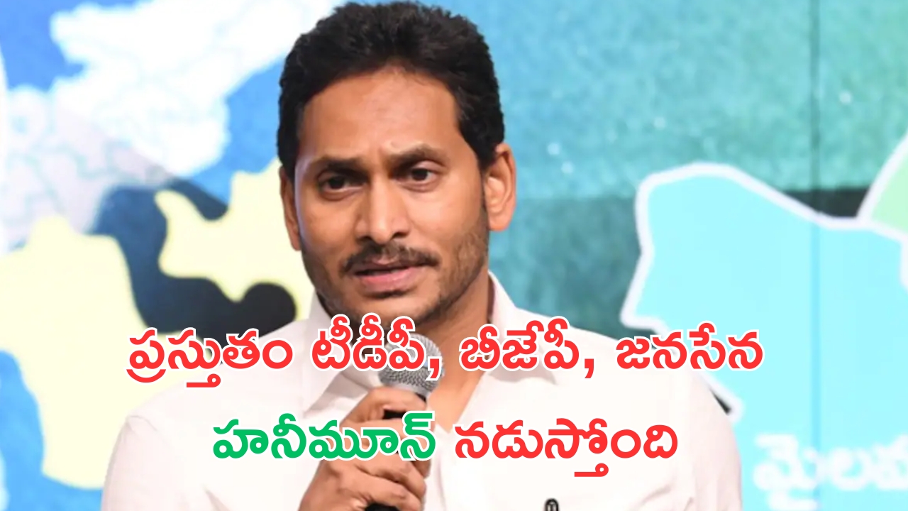 Jagan: మహా అయితే నాలుగు కేసులు పెడుతారు.. అంతే తప్ప అంతకుమించి ఏం చేయలేరు: జగన్