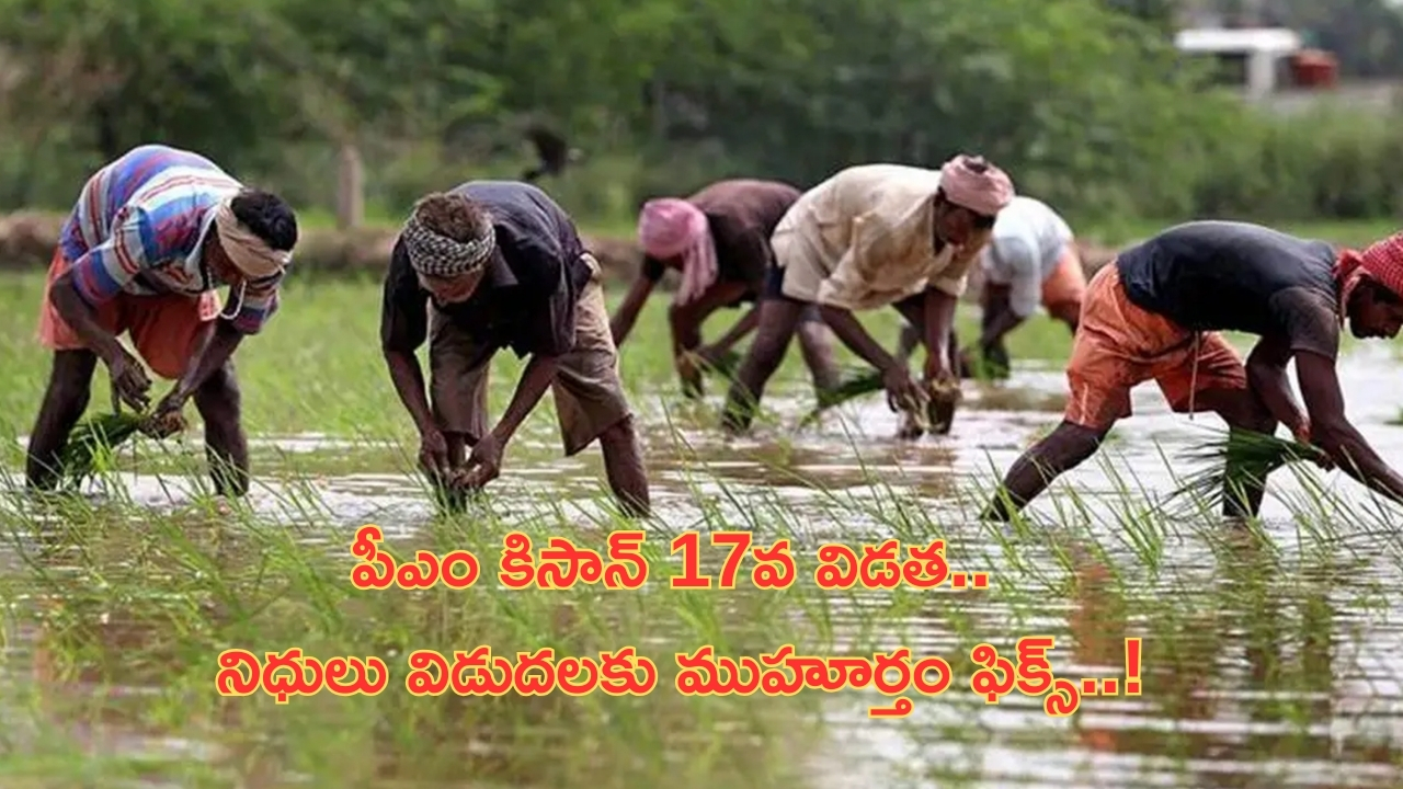 PM Kisan 17th Installment: పీఎం కిసాన్ 17వ విడత.. నిధులు విడుదలకు ముహూర్తం ఫిక్స్..