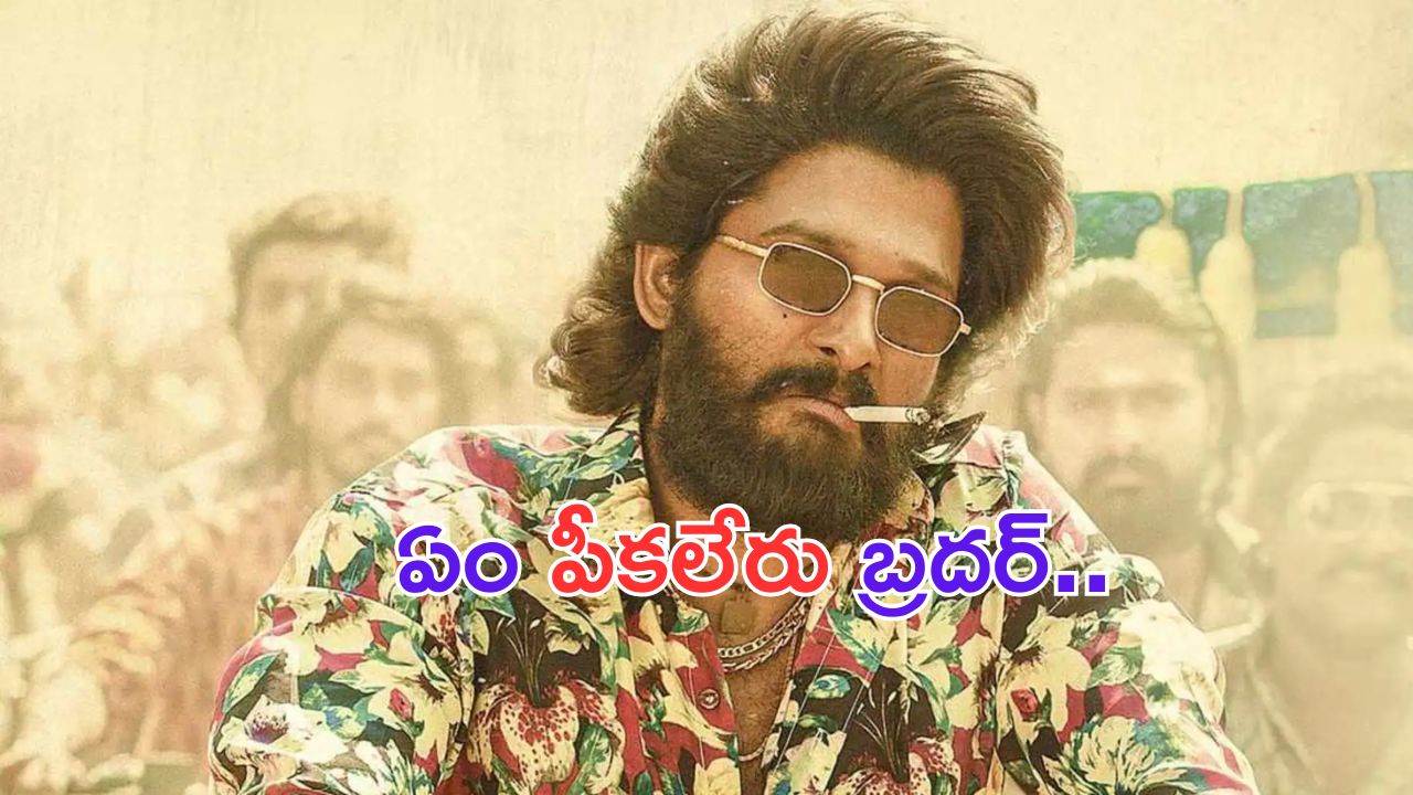 Allu Arjun: ఏం పీకలేరు బ్రదర్.. అల్లు అర్జున్ కు సపోర్ట్ గా ఫ్యాన్స్