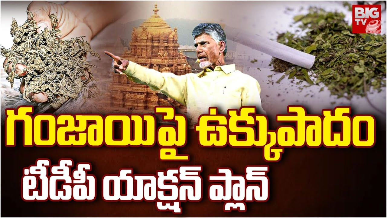 Ganja Trafficking in AP: టార్గెట్ 100 రోజులు.. గంజాయి దందాపై సీఎం యాక్షన్ ప్లాన్..!