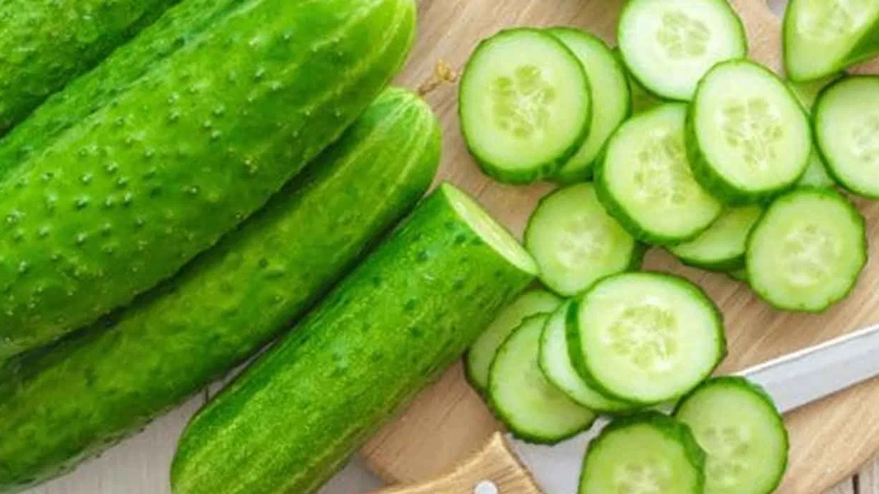 Benefits Of Cucumber: ప్రతీ రోజూ కీరదోస తింటే ఏమవుతుందో తెలుసా..