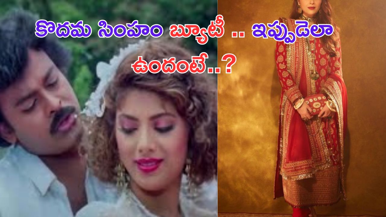 Sonam Khan: ‘కొదమ సింహం’.. ఘుమ్.. ఘుమాయించు అందం.. పాటలో చిరుతో రొమాన్స్ చేసిన ఈ బ్యూటీ గుర్తుందా.. ఇపుడెలా ఉందంటే..?