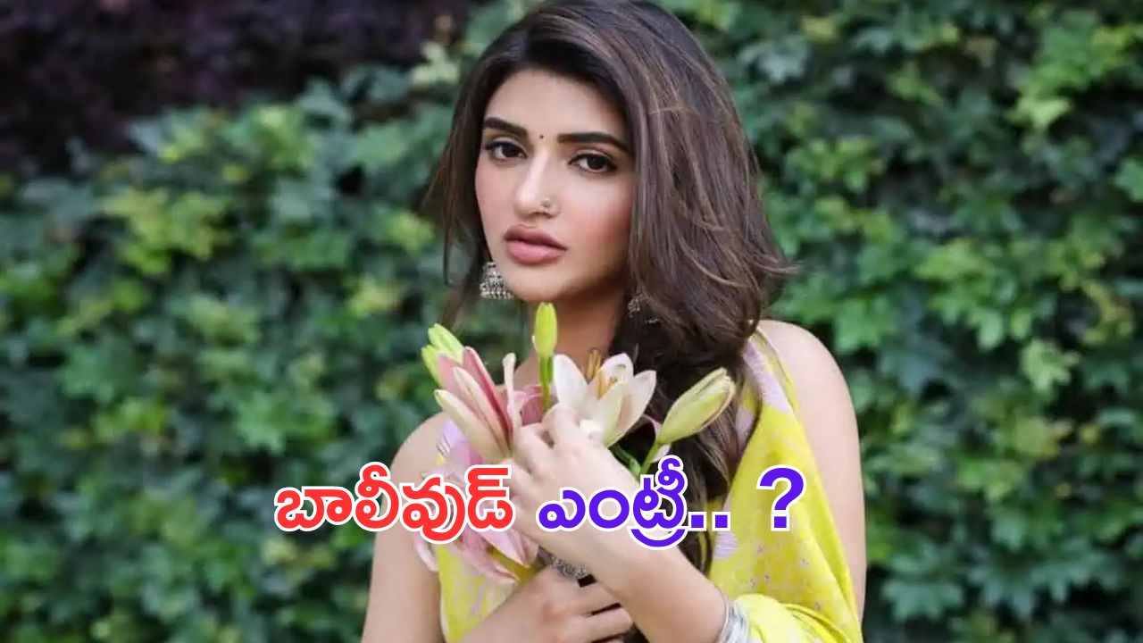 Sreeleela: దేవర విలన్ కొడుకుతో శ్రీలీల బాలీవుడ్ ఎంట్రీ.. ?