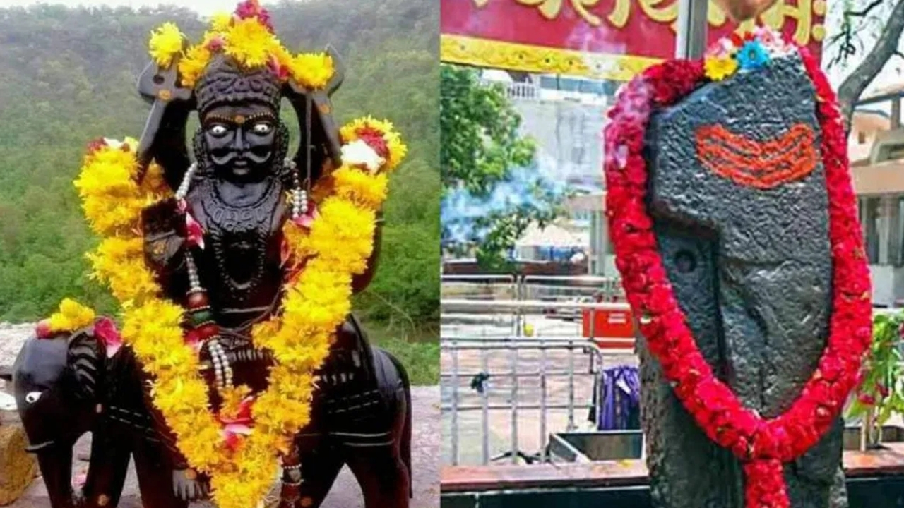 Shani Worship with Flowers: శనిదేవుడిని ఈ పువ్వులతో పూజిస్తే మీ జీవితంలో ఊహించలేని ఫలితాలు పొందుతారు!