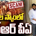 Telangana Sheep Distribution Scam: గొర్రెల స్కాంలో కేటీఆర్ పీఏ..? అసలు నిజం ఏంటి..?