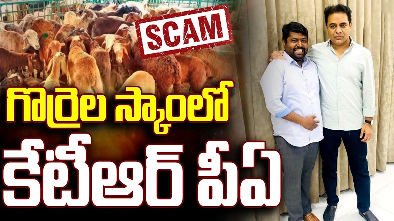 Telangana Sheep Distribution Scam: గొర్రెల స్కాంలో కేటీఆర్ పీఏ..? అసలు నిజం ఏంటి..?