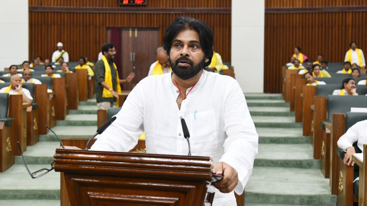 Pawan Kalyan : పంచాయతీ రాజ్ శాఖపై శ్వేతపత్రం.. అసెంబ్లీలో డిప్యూటీ సీఎం ప్రకటన